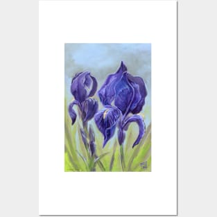 Bearded Irises Posters and Art